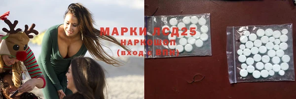 стафф Надым